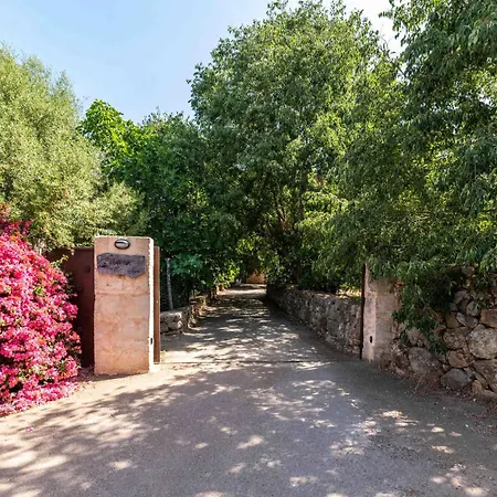 21842 Mallorca6 Sa Pobla